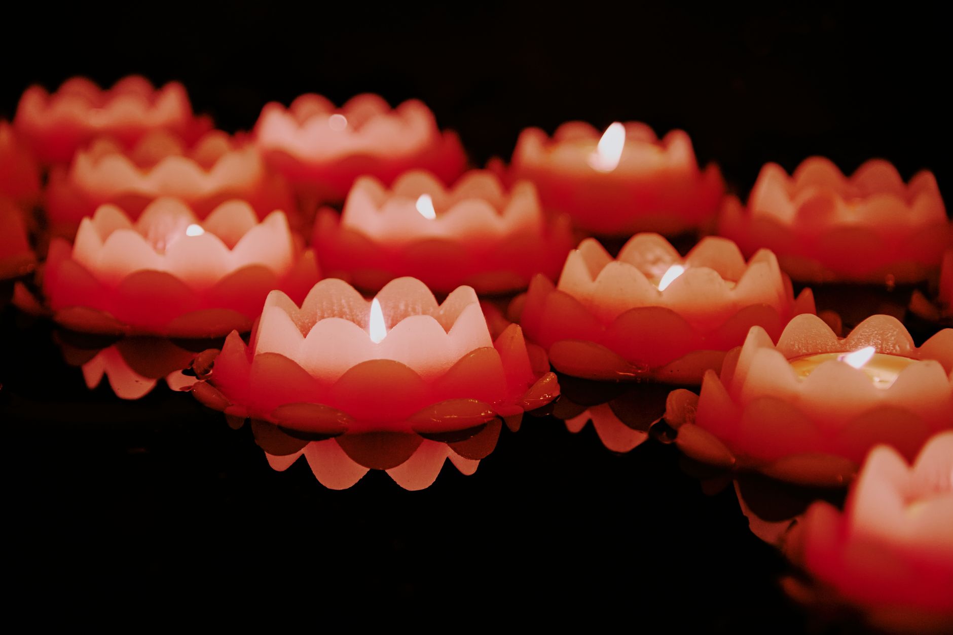 Lotus candles floating and glowing on dark, still water